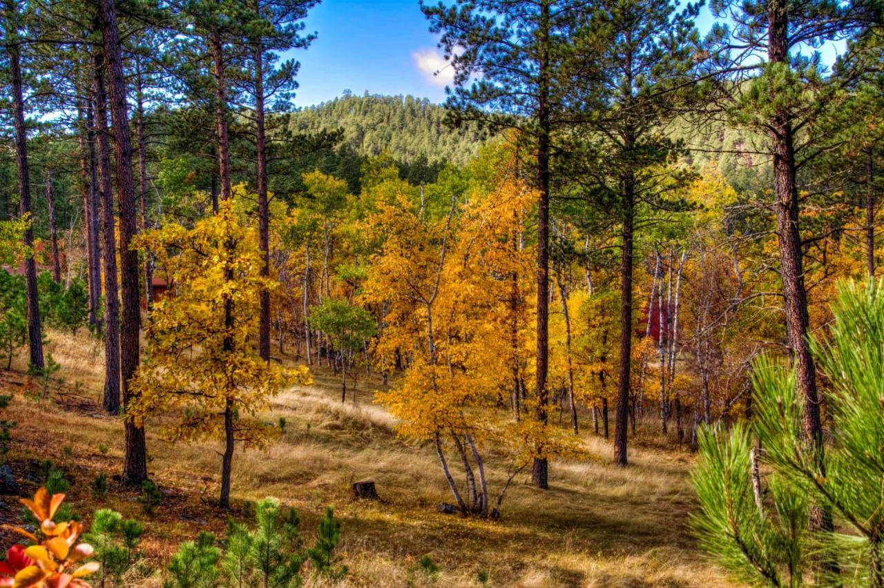 Yak Ridge Cabins And Farmstead By Mount Rushmore Villa Keystone Luaran gambar